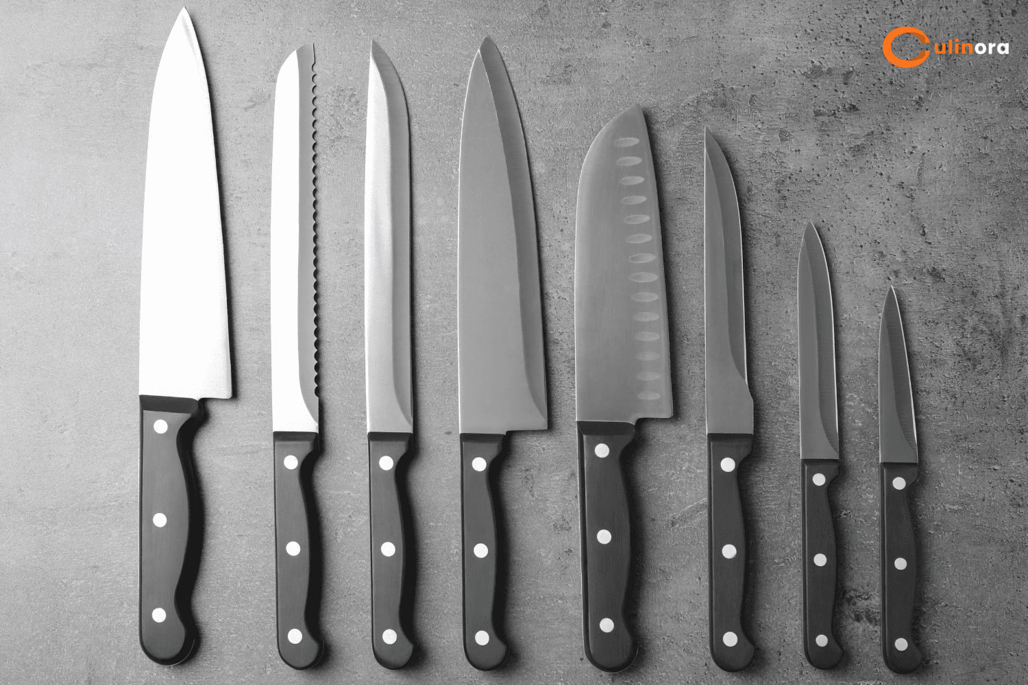 Profesyonel Bıçak Bilgisi ve Kullanımı